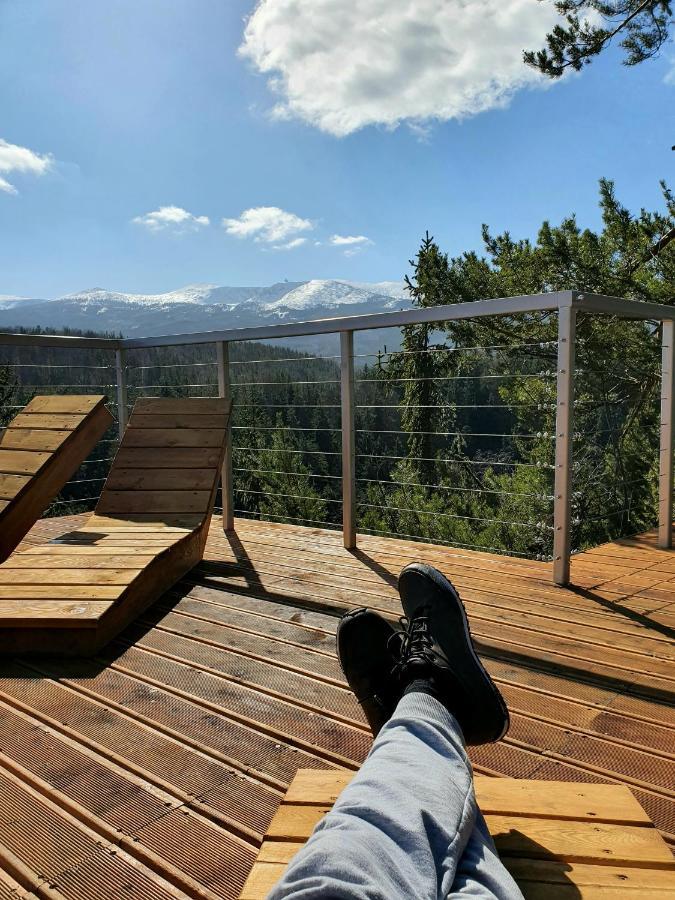 Nr 16 Apartment